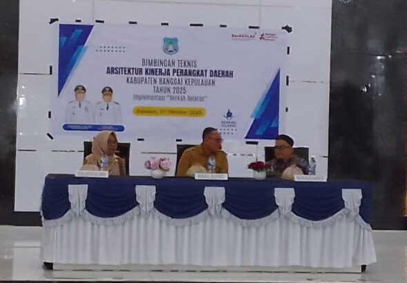 WhatsApp Image 2025-10-07 at 13.34.34